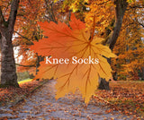Knee socks