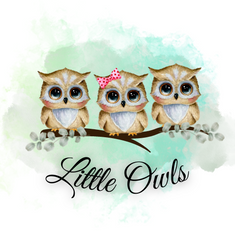 Little Owls Handmade Clothing